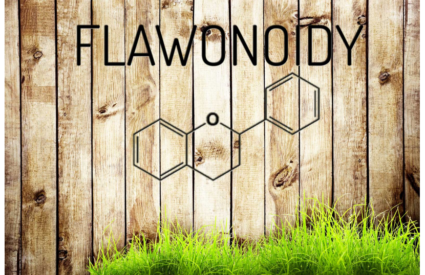 Czym są Flawonoidy