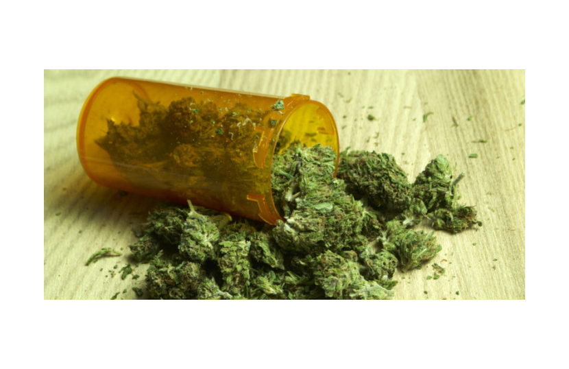 CBD i System Enzymu Cytochromu P-450